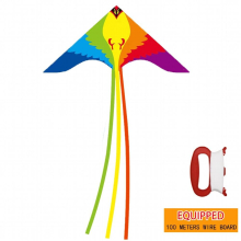 Colorful Life Large Phoenix Bird Kite for Adults, Easy to Fly Single Line Beach Kite, Comes with Kite Handle and 300ft String
