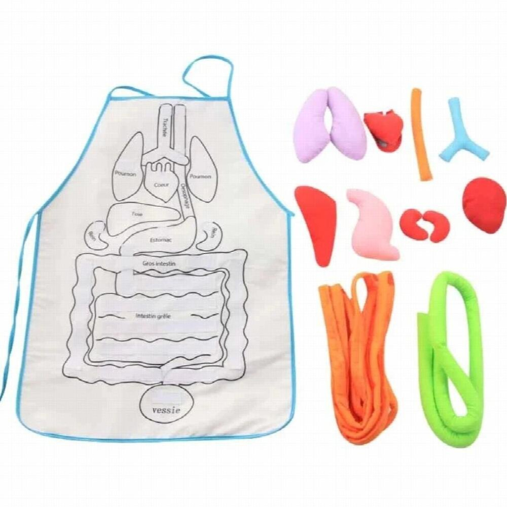 Organ Teaching Apron Anatomy Apron Human Body Educational Insights Home Apron Aids Toys For Children Body Teaching