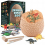 Educational Toy Excavation Giant Dinosaur Egg Simulation Model Archaeological Excavation Set 1