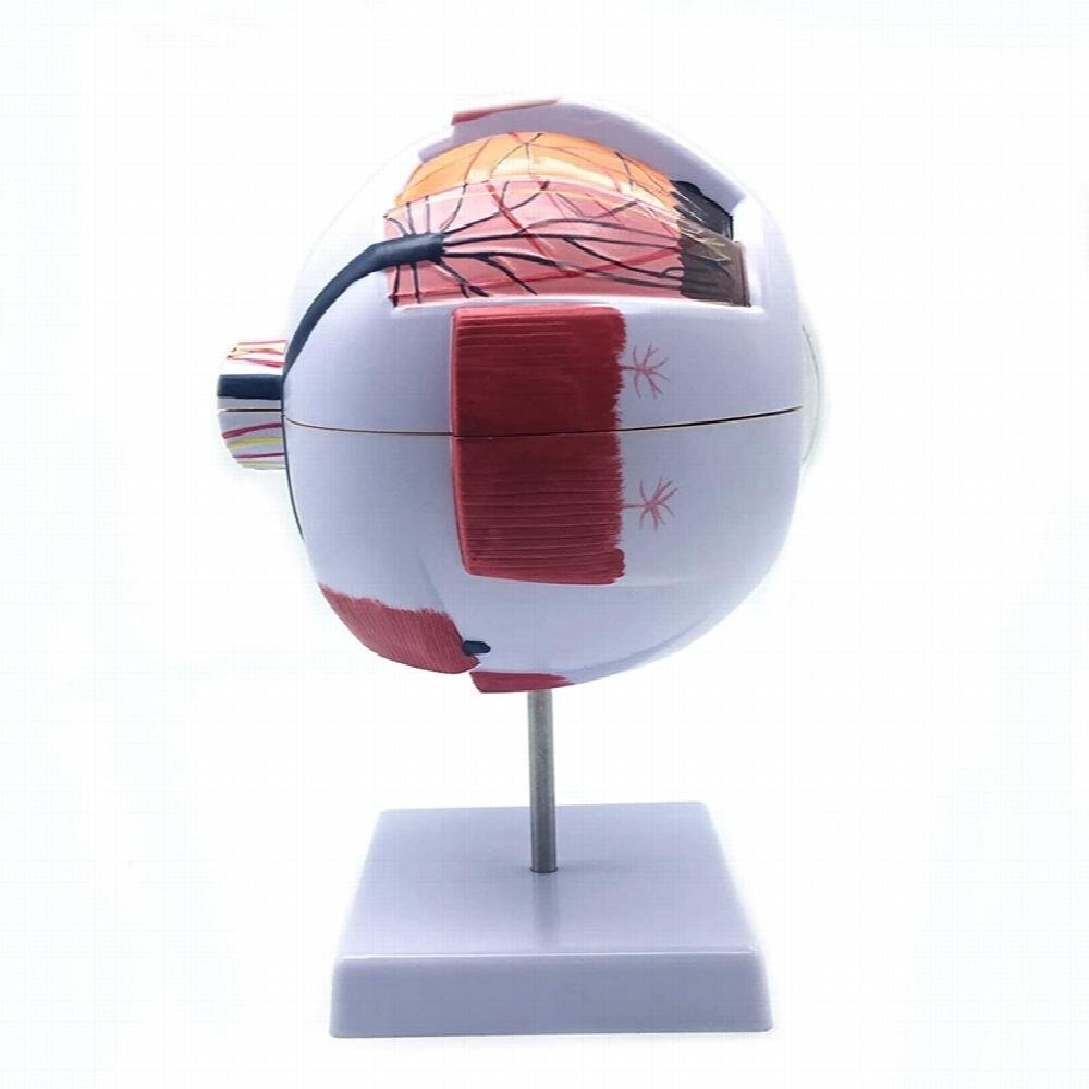 8-Quart Digital Air Fryer