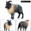 8.5*3*7CM Children Simulation Wild Animal Solid Static Model Sheep Himalayan Sheep Plastic Toy Decoration 4