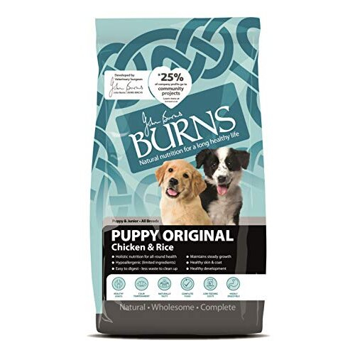Burns Burns Pet Nutrition Hypoallergenic Complete Dry Dog Food Puppy Original Chicken and Rice 2 kg
