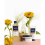 PHYTO Hair Mask Phyto Paris Couleur 200 ml 2