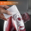 GEEPAS Geepas 1800W Steam Iron with Temperature Control, Red 6