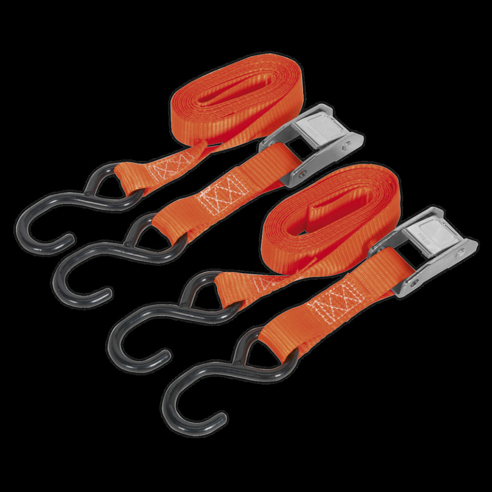 Cam Buckle Strap 25mm x 2.5m Polyester Webbing with S-Hooks 250kg Breaking Strength