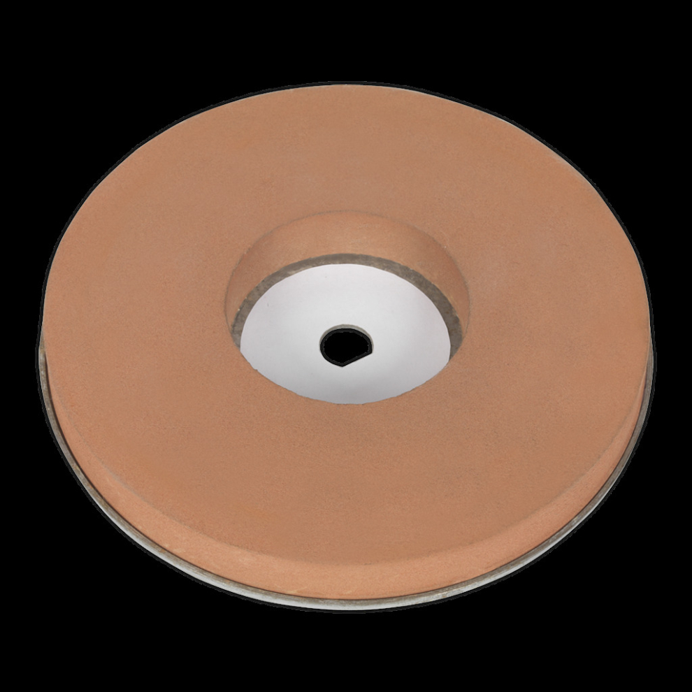 Wet Stone Wheel Ø200mm for SMS2107