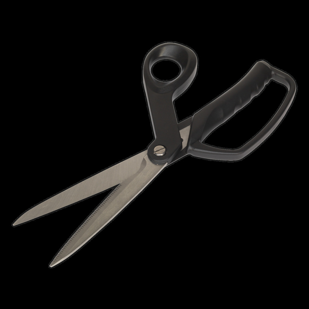 Shears/Scissors 250Mm Heavy-Duty 5054511026689