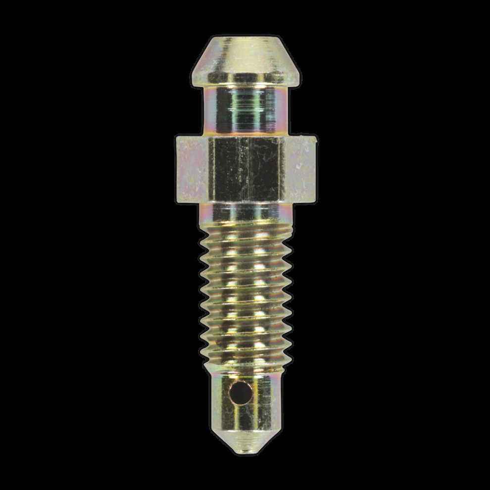 Brake Bleed Screw M6 X 29Mm 1Mm Pitch Pack Of 10 5054511067125