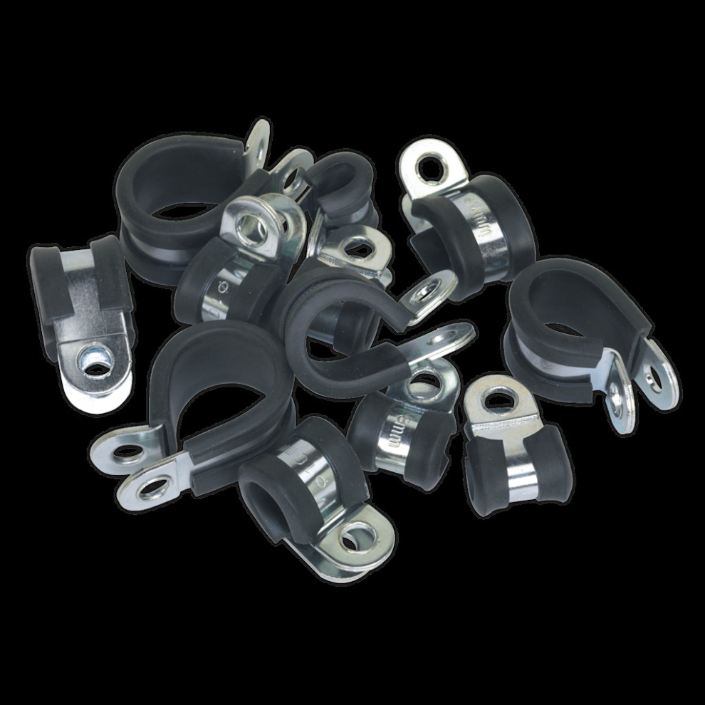 P-Clip Rubber Lined Assortment 60Pc 5054511004519