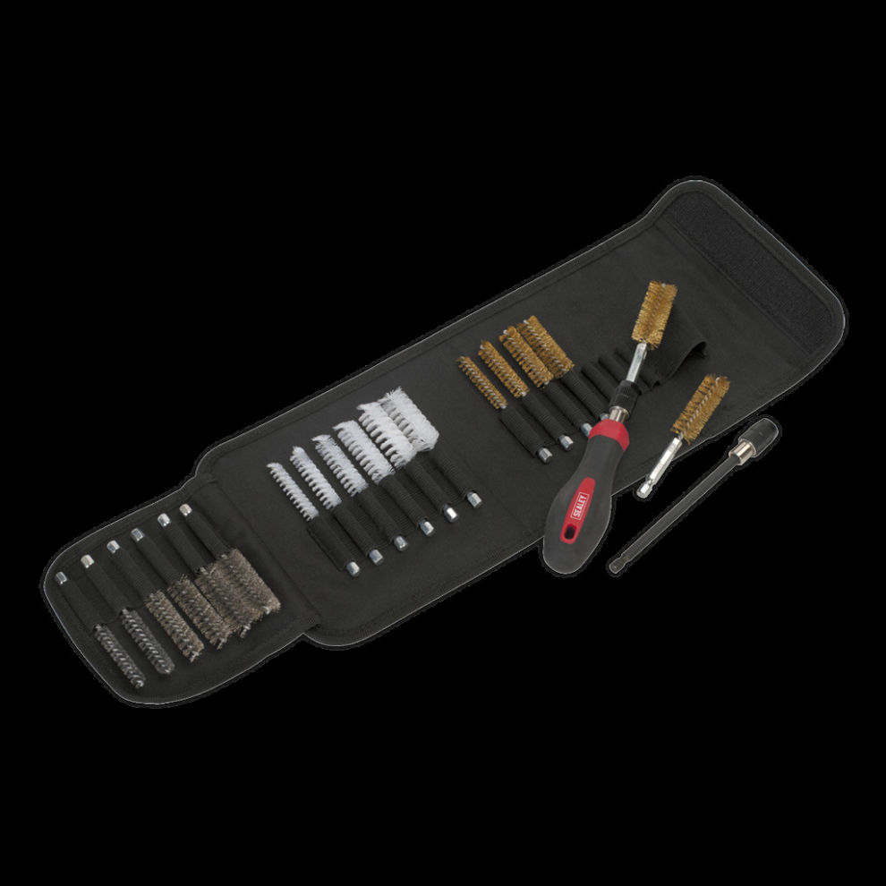 Sealey Cleaning & Decarbonising Brush Set 20Pc