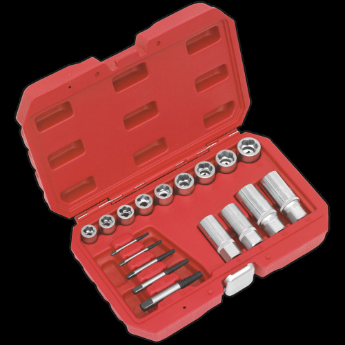 Sealey Bolt, Stud & Screw Extractor Set 18pc