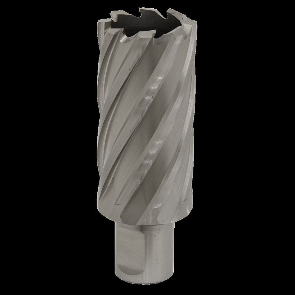Rotabor Cutter HSS Ø31mm - Cut Depth 50mm