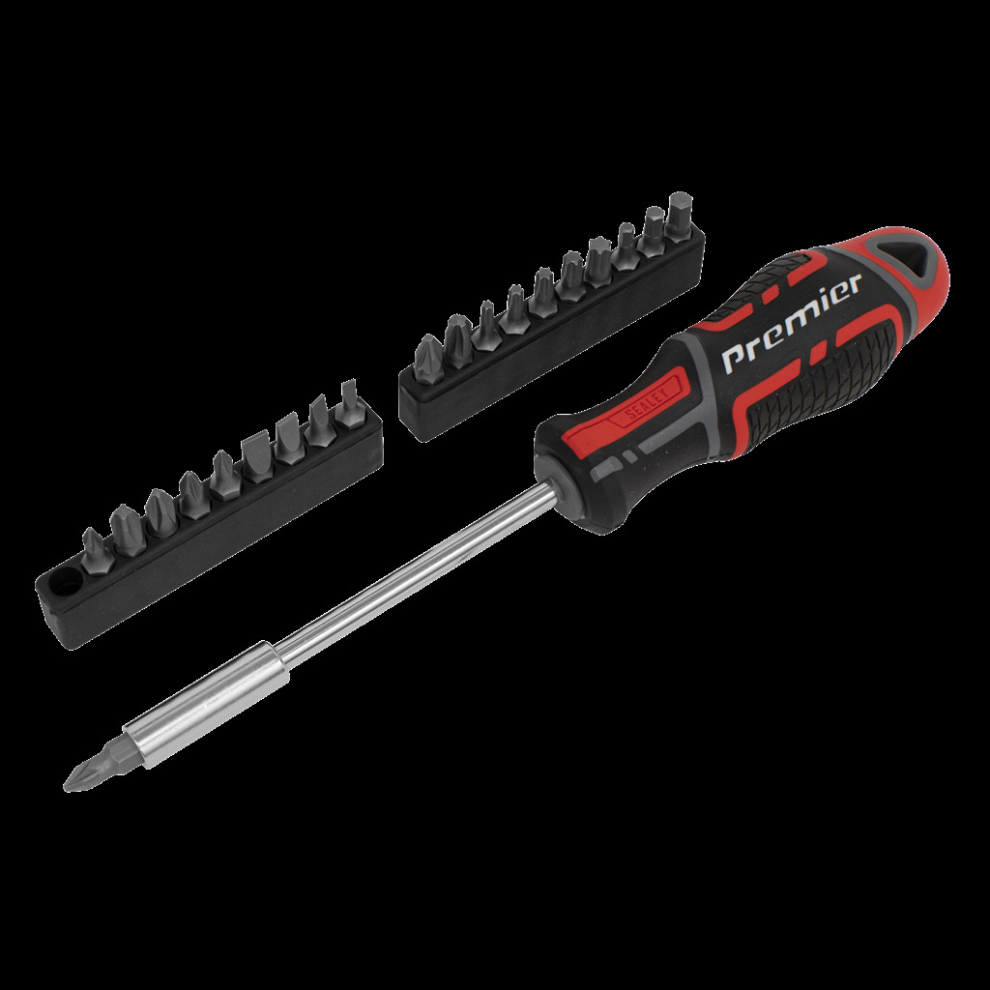 Screwdriver & Bit Set 21Pc Gripmax® 5054511874785