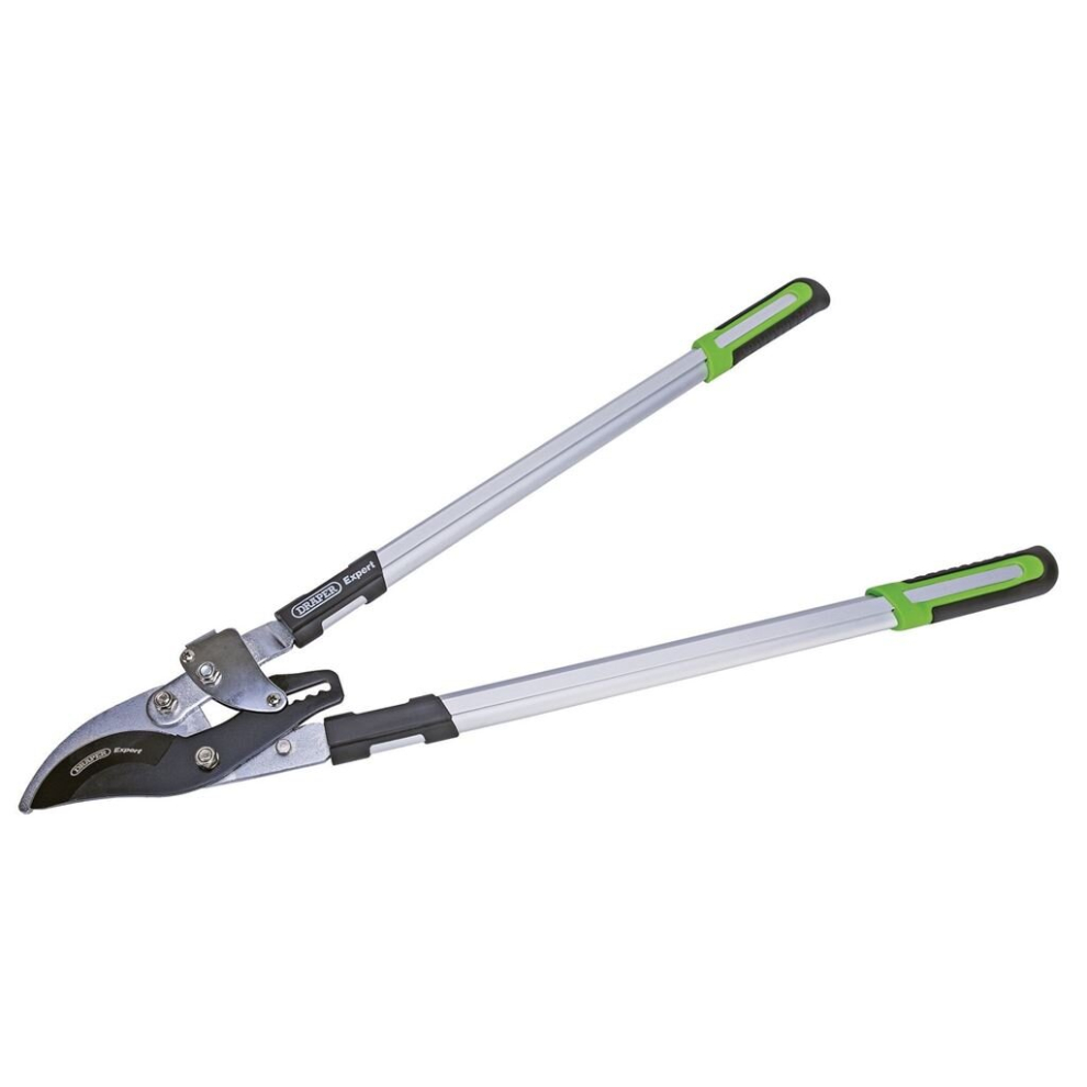 Draper Ratchet Action Bypass Pattern Loppers, 750Mm