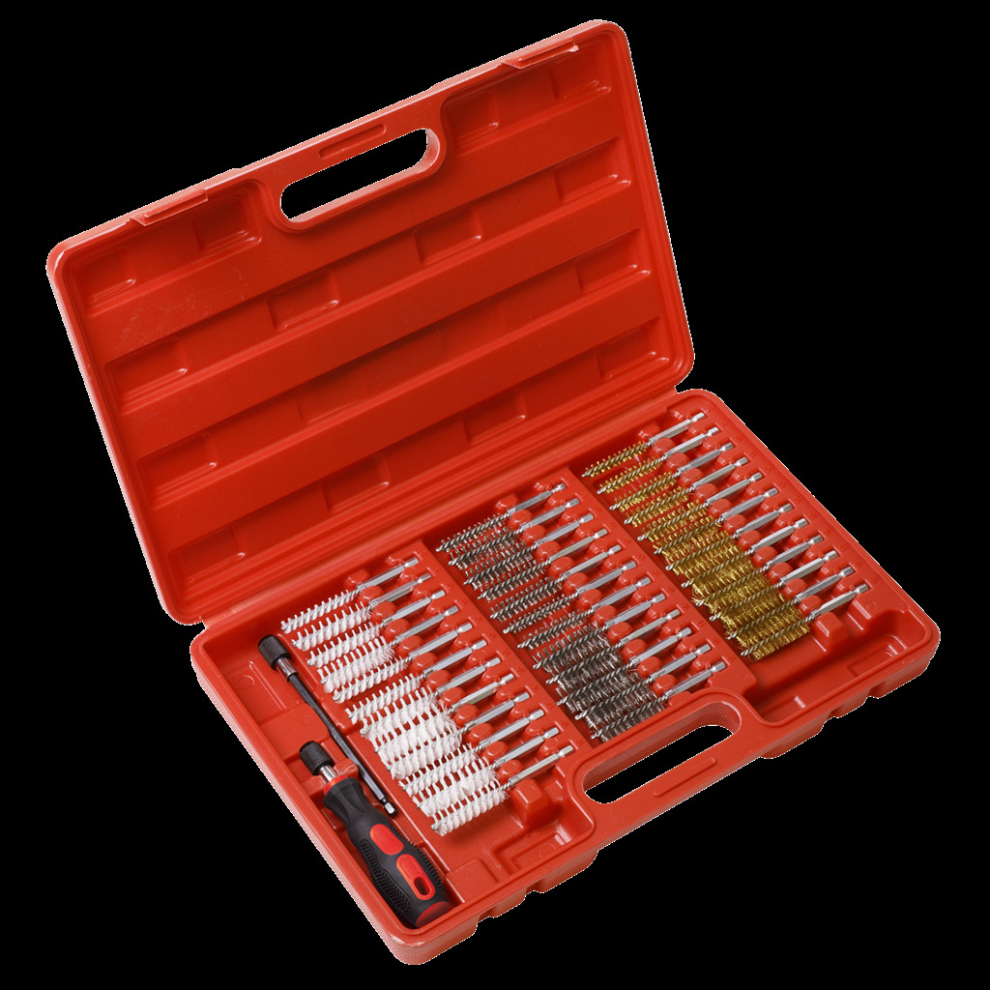 Sealey 38Pc Cleaning Brush Set Injector Bore