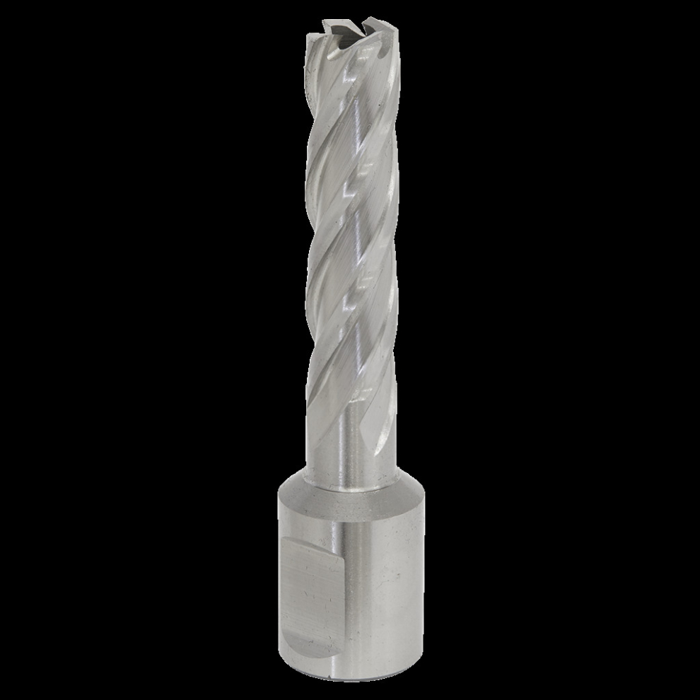 Sealey Rotabor Cutter Hss Ø12mm - Cut Depth 50Mm