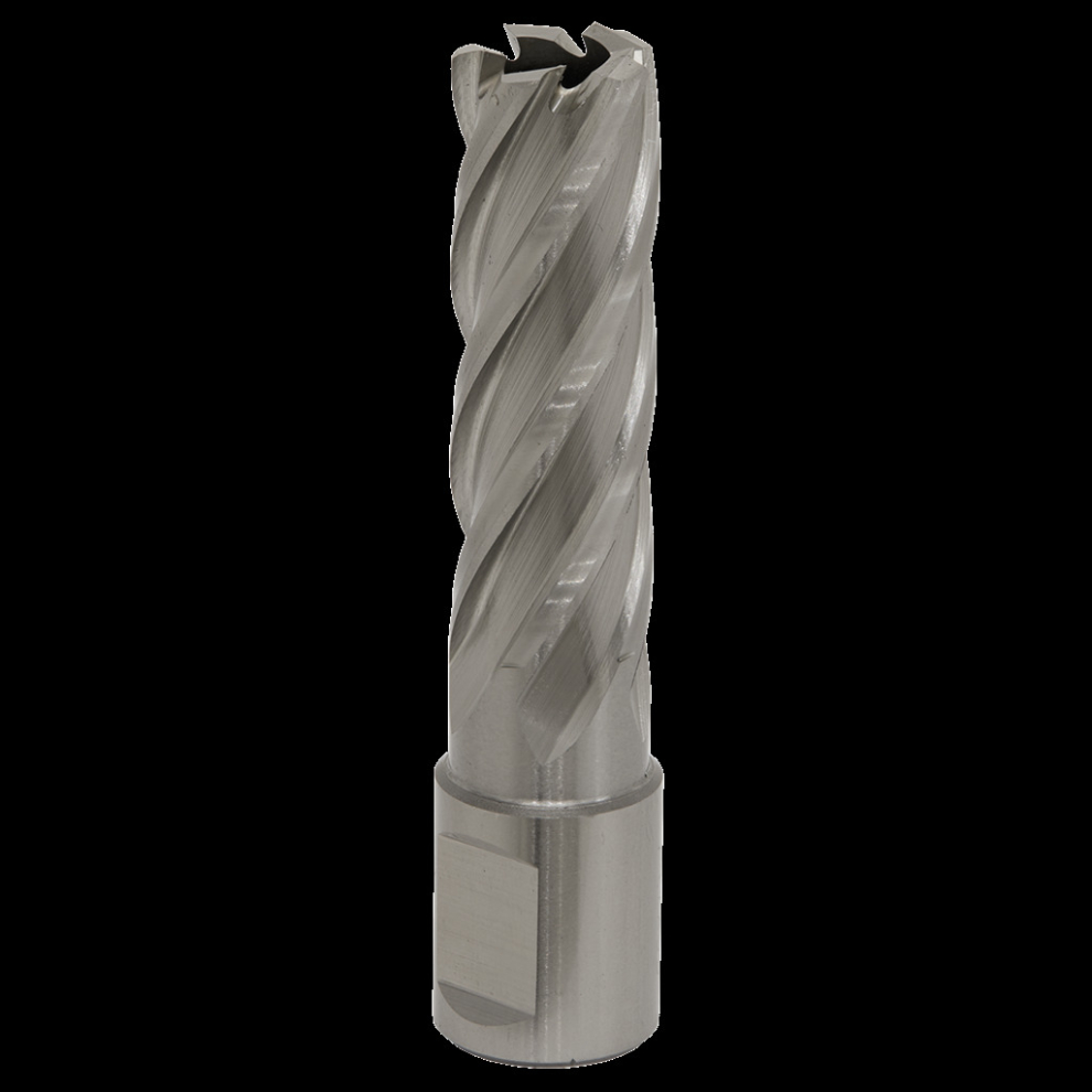 Sealey Rotabor Cutter Hss Ø17mm - Cut Depth 50Mm