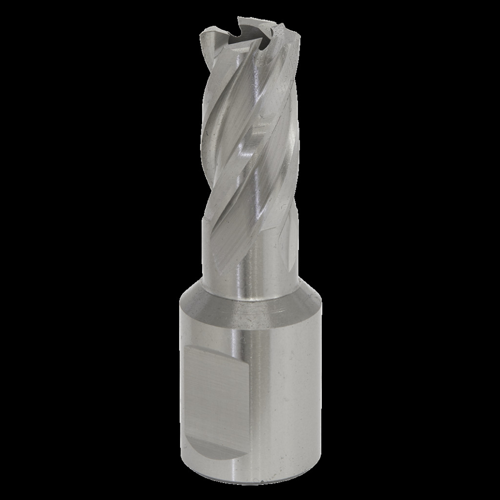 Rotabor Cutter Hss Ø12mm - Cut Depth 25Mm 5055111211222