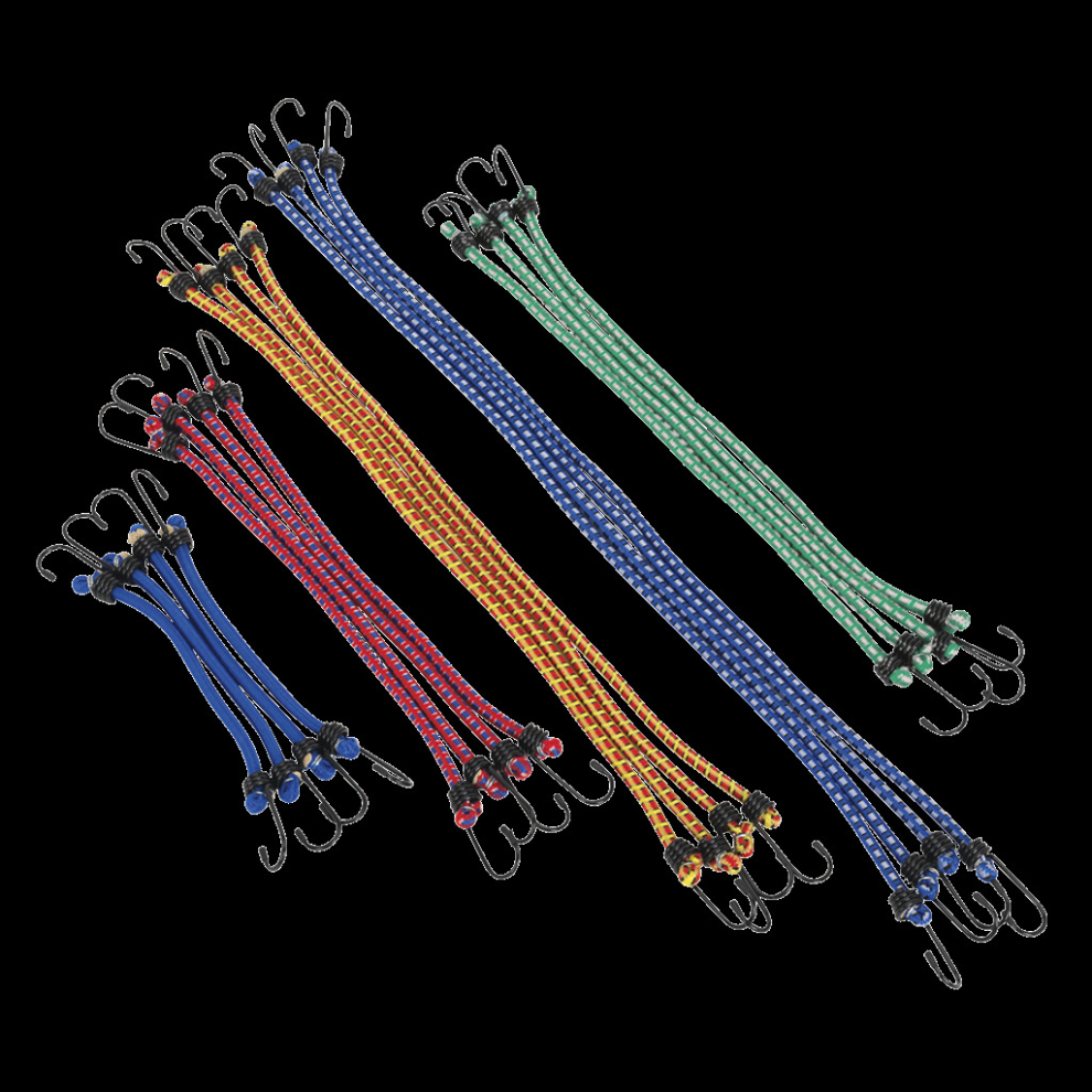 Elastic Cord Set 20pc