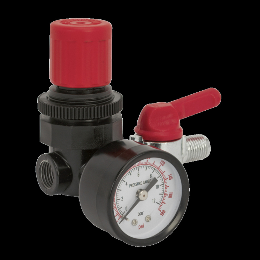 Air Regulator 1/4"Bsp Female - 1/4"Bsp Male 5024209141925