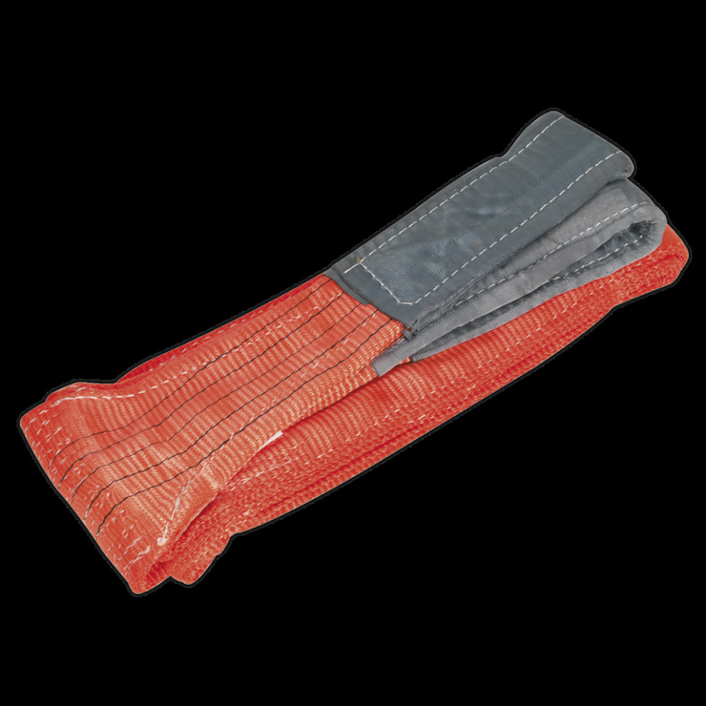 Sealey Load Sling Tonne Capacity 3M Size 5