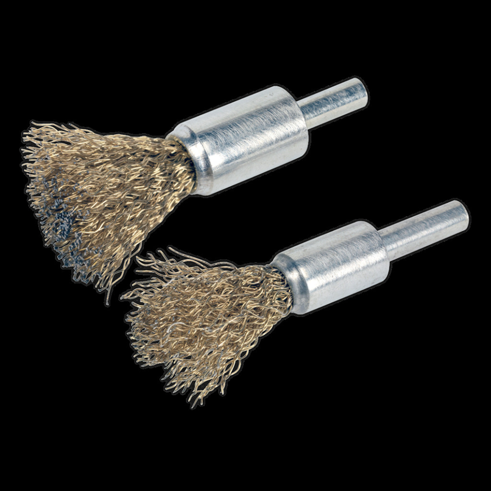 Sealey Decarbonising Crimped Wire Brush Set 2Pc