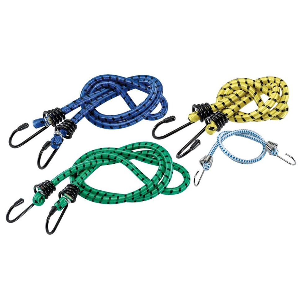 Assorted Bungee (Pack of 10)