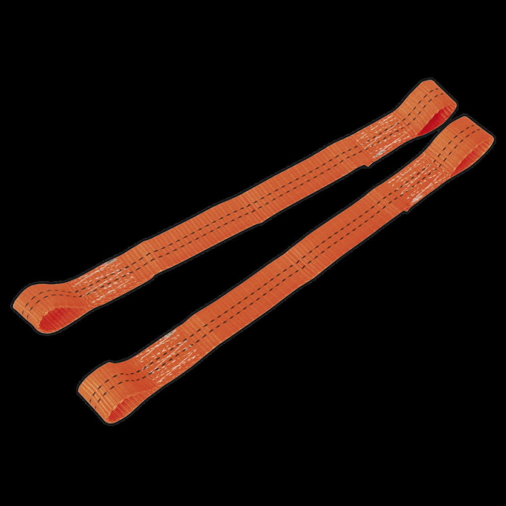 Sealey Tie Down Securing Loop - Pair