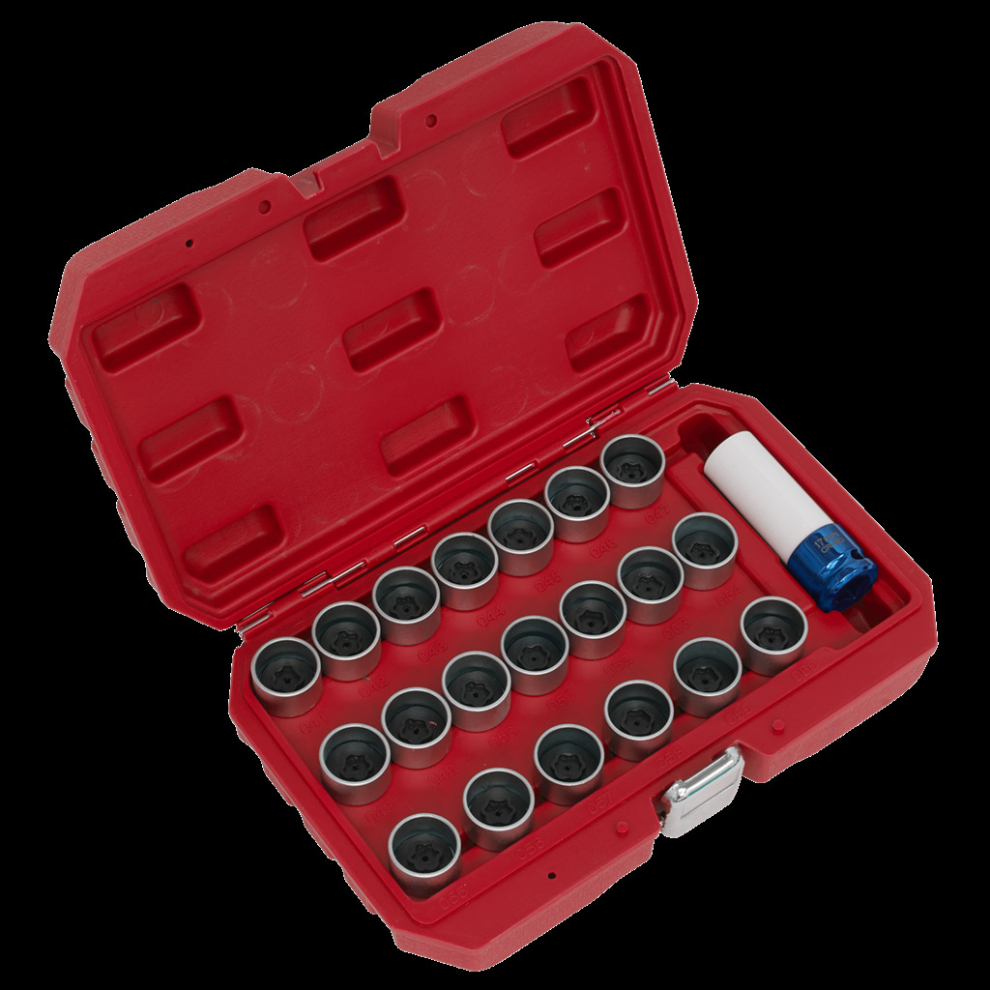 Sealey 21Pc Locking Wheel Nut Key Set - Bmw
