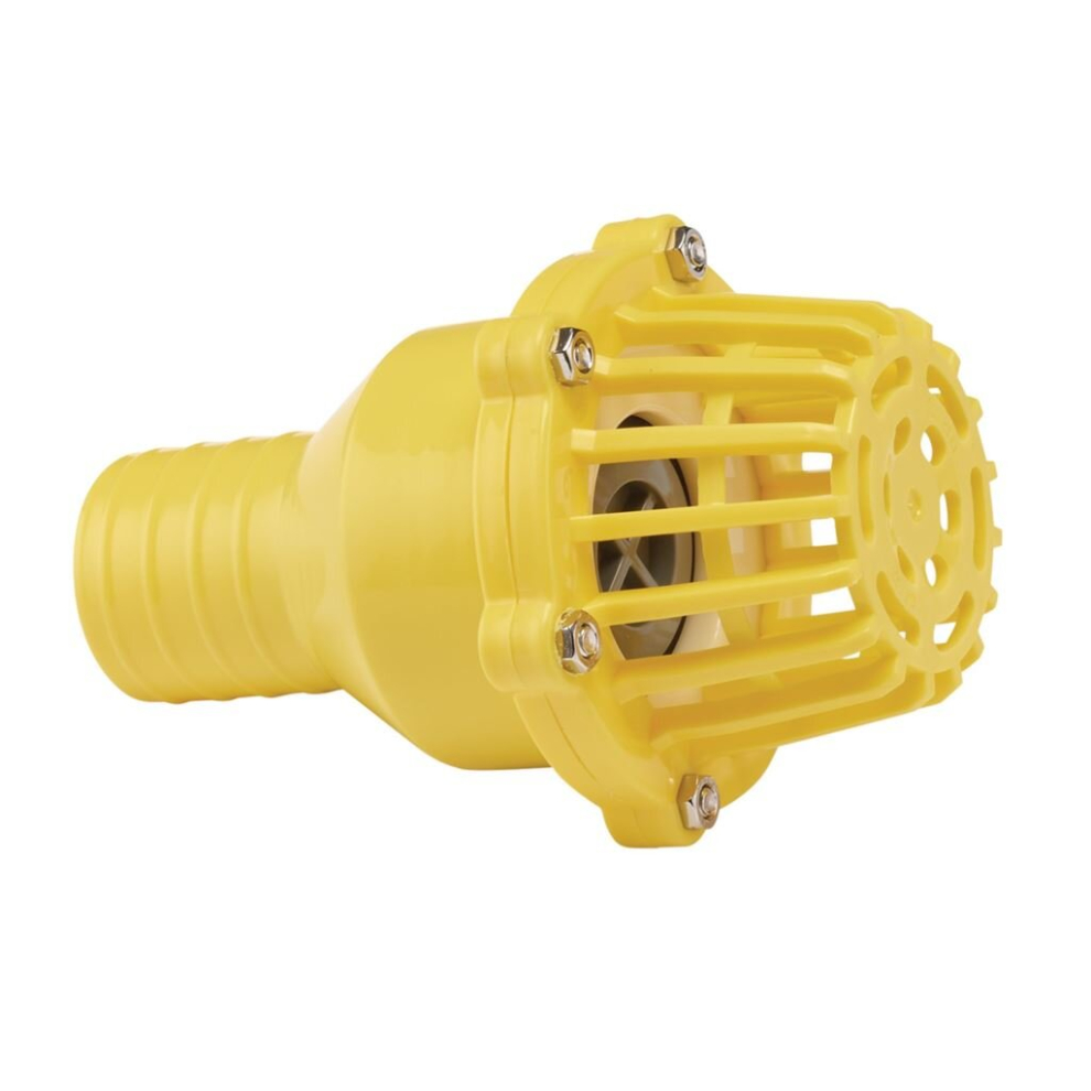 Foot Valve Strainer, 50mm/2