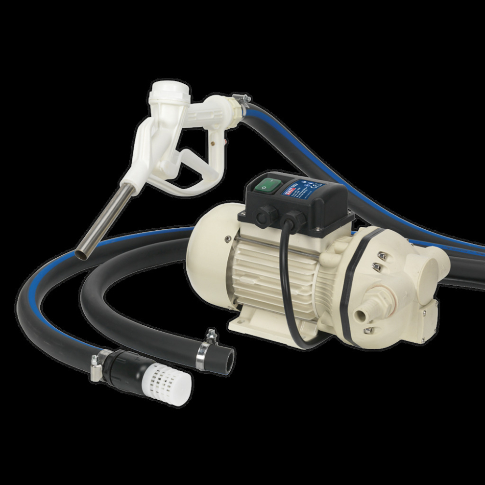 AdBlue® Transfer Pump Portable 230V