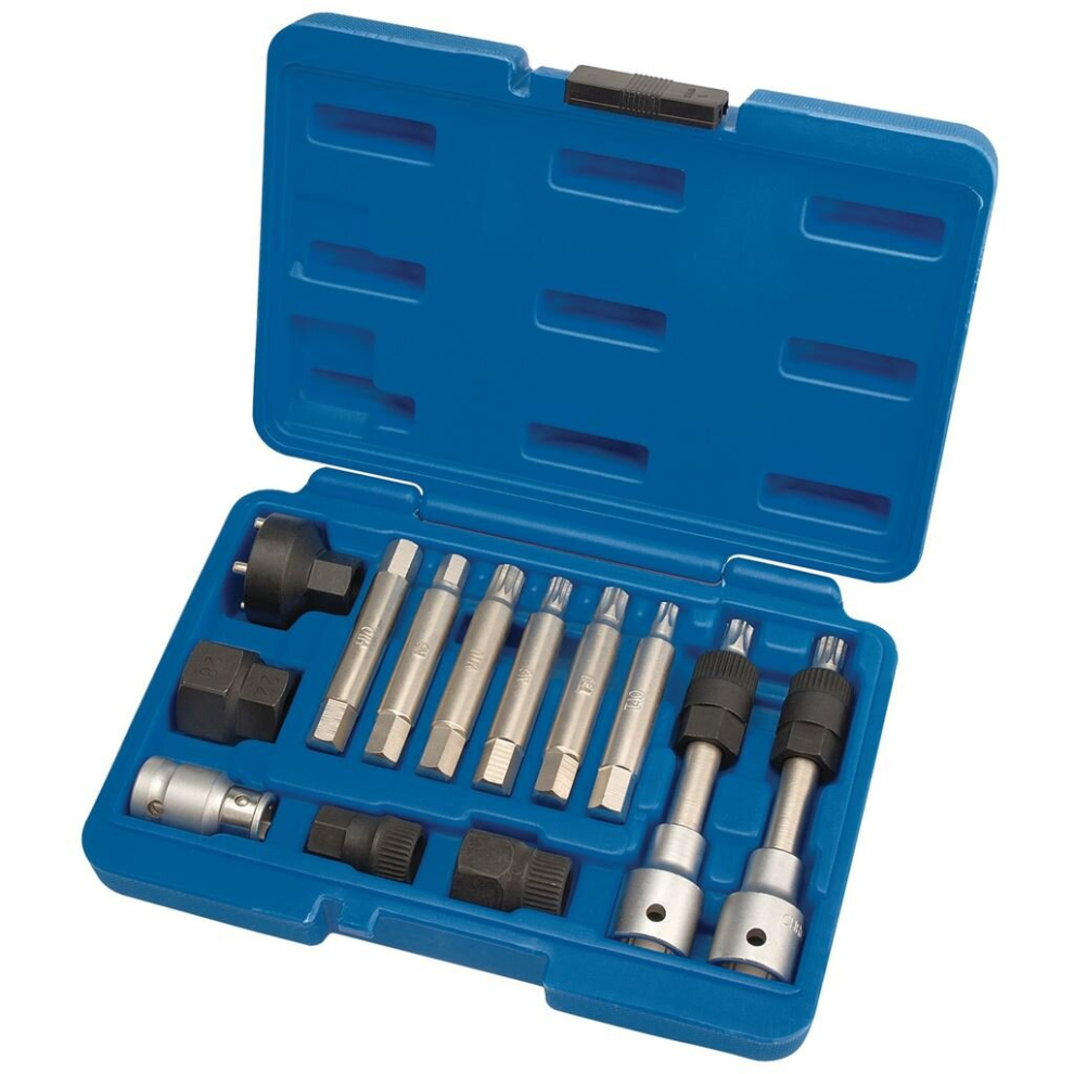 Alternator Pulley Tool Kit (13 Piece)