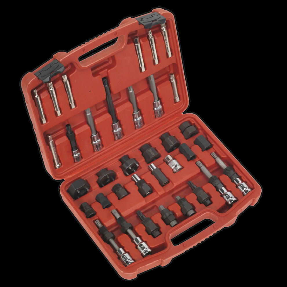 Alternator Freewheel Pulley Removal Set 35Pc 5051747848658