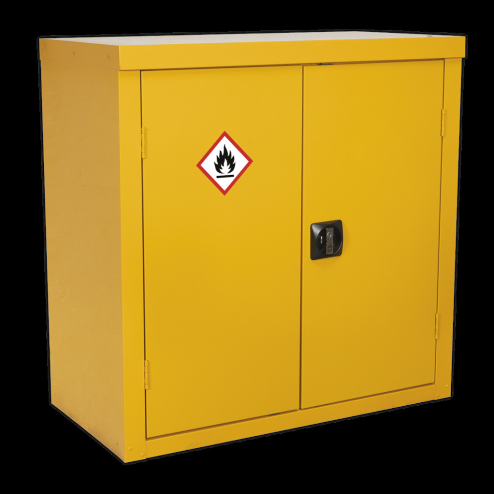 Hazardous Substance Cabinet 900 x 460 x 900mm