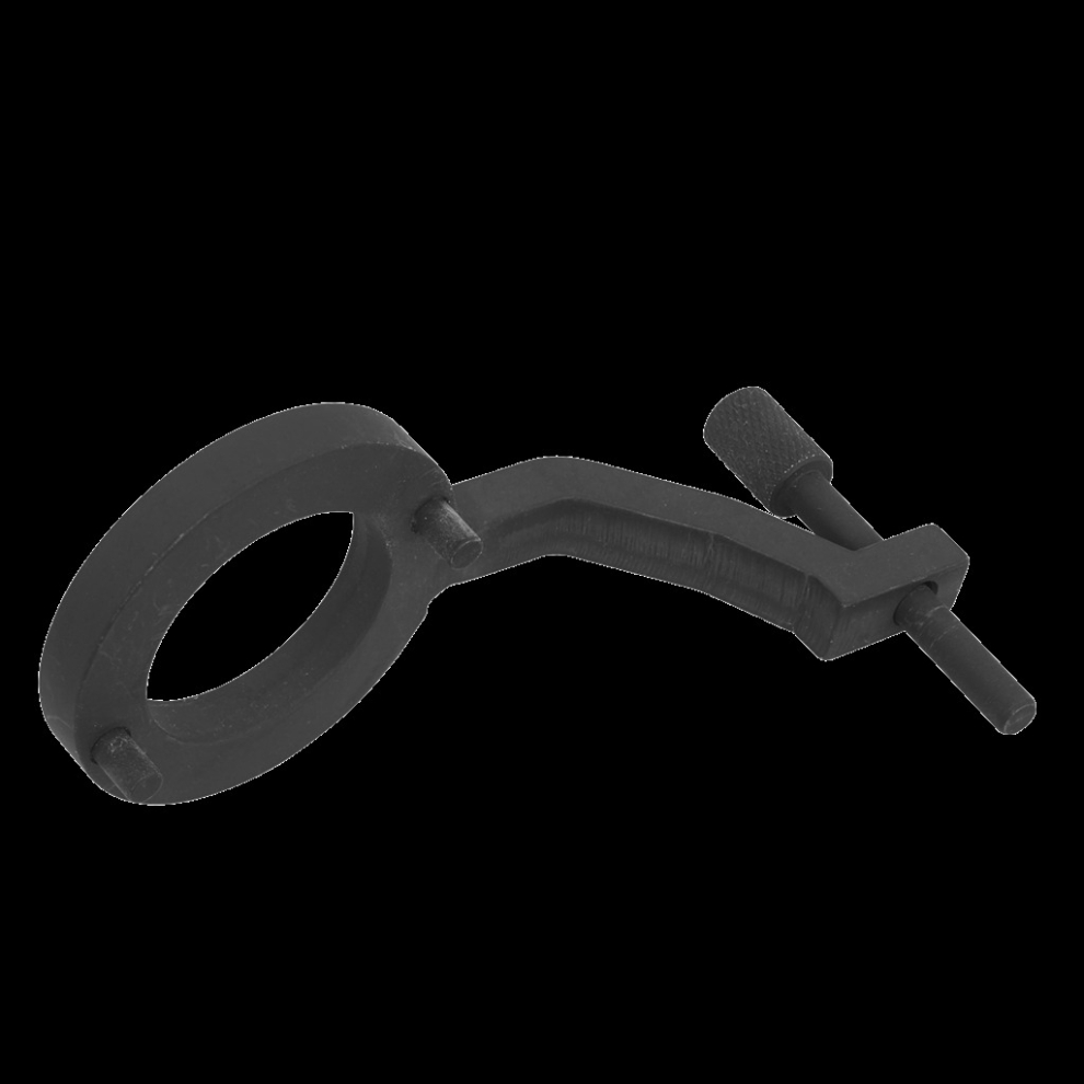 Fuel Pump Holding Tool - for Jaguar, Land Rover 3.0D - Belt Drive