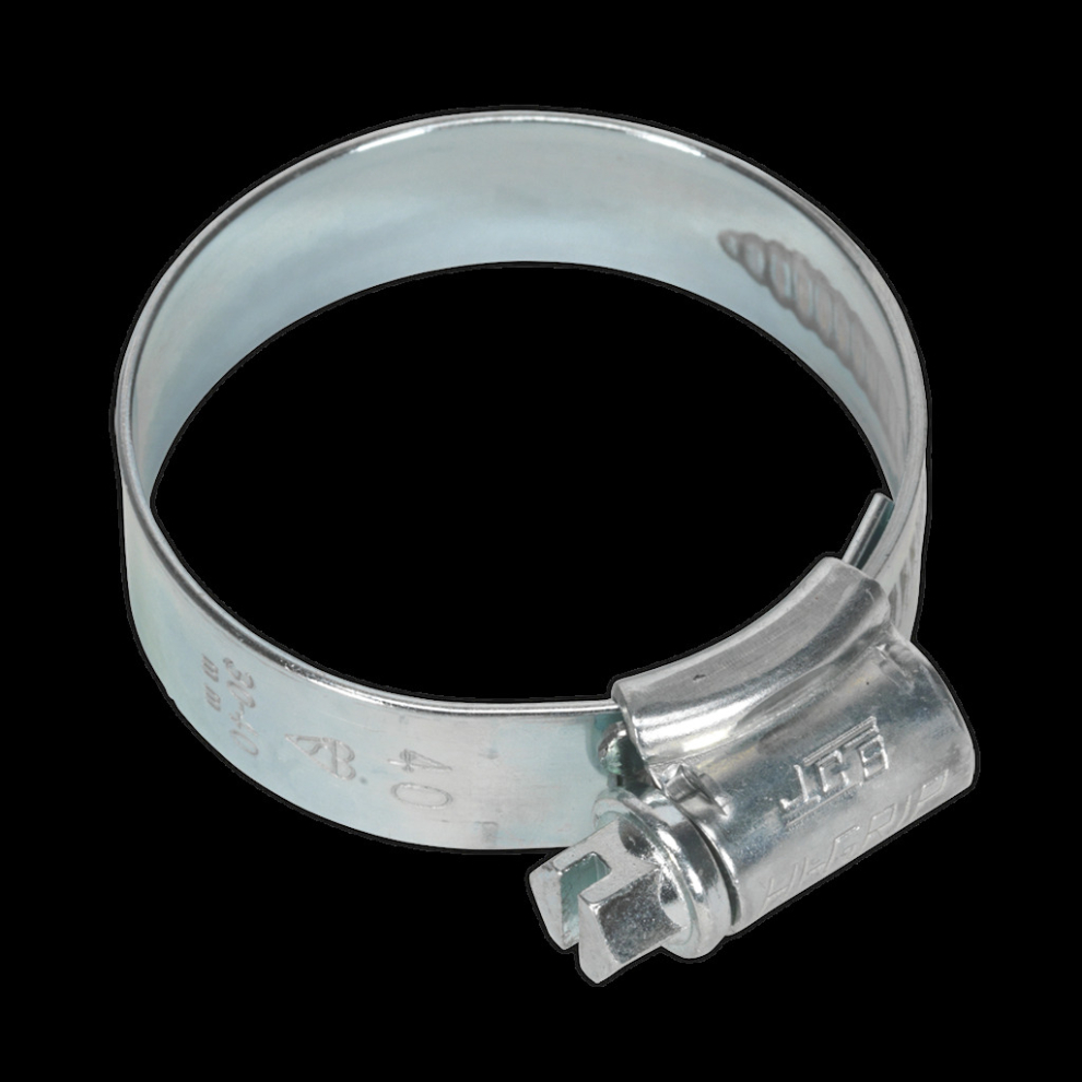 HI-GRIP® Hose Clip Zinc Plated Ø30-40mm Pack of 20