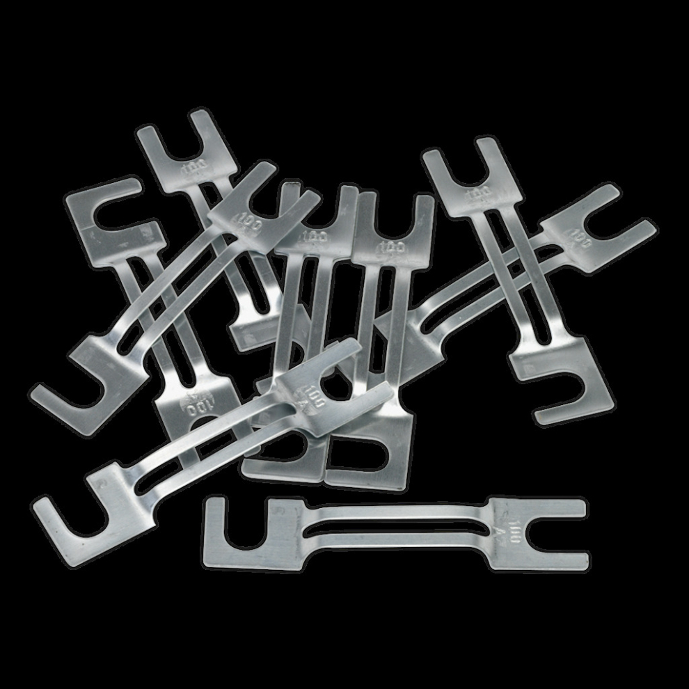 Fuse 100A 99 x 20mm Large Pack of 10