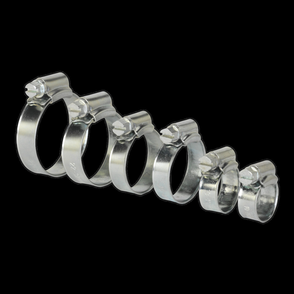 Hose Clip Assortment 30Pc Ø8-29Mm Zinc Plated 5054511003949
