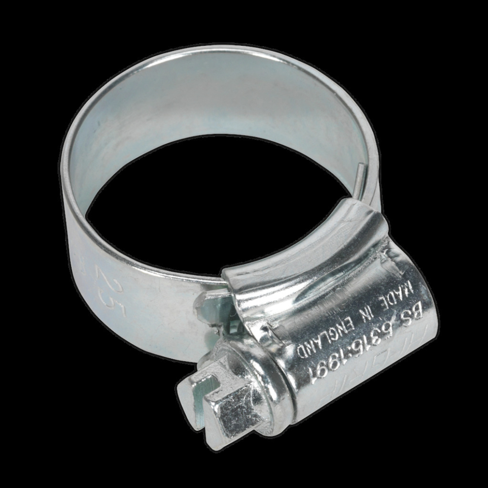 HI-GRIP® Hose Clip Zinc Plated Ø17-25mm Pack of 20