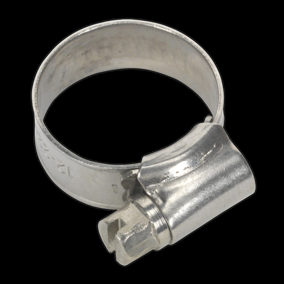 Hose Clip Stainless Steel Ø16-22mm Pack of 10