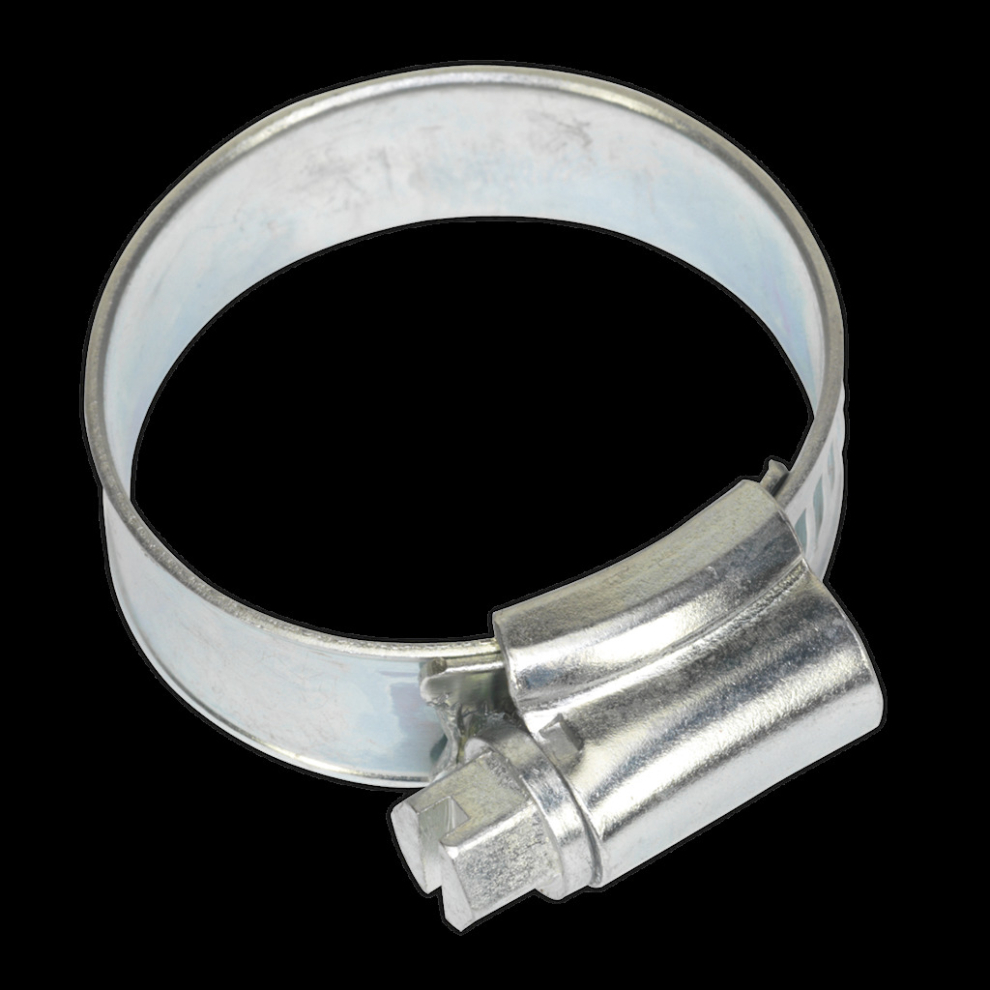 Hose Clip Zinc Plated Ø22-32Mm Pack Of 20 5054511003215