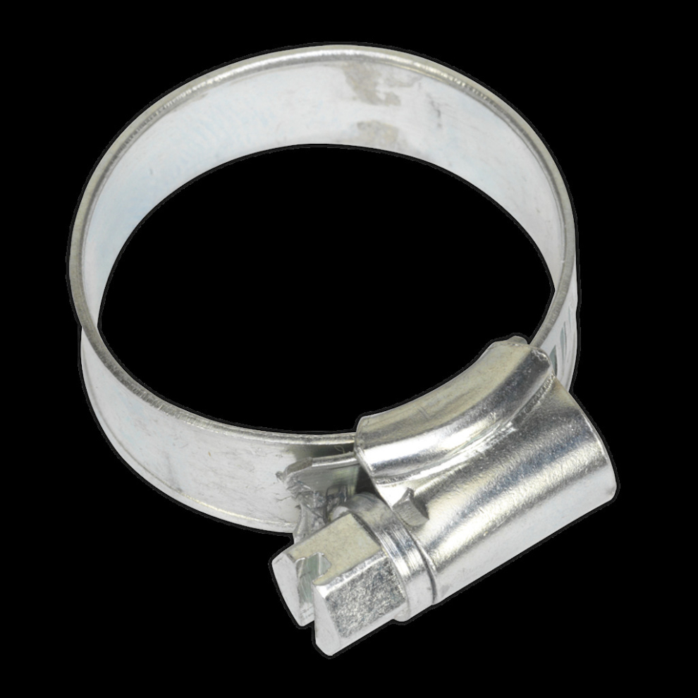 Hose Clip Zinc Plated Ø19-29Mm Pack Of 20 5054511003208