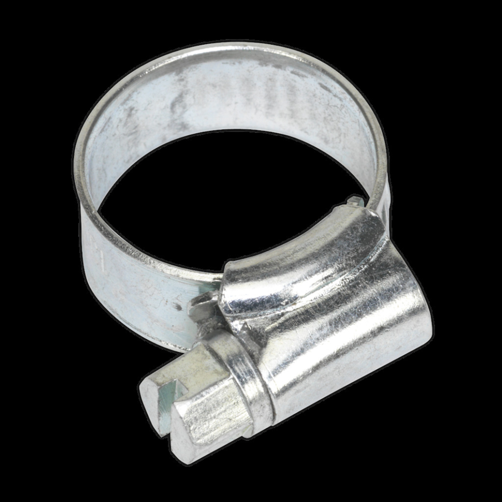 Hose Clip Zinc Plated Ø8-14mm Pack of 30