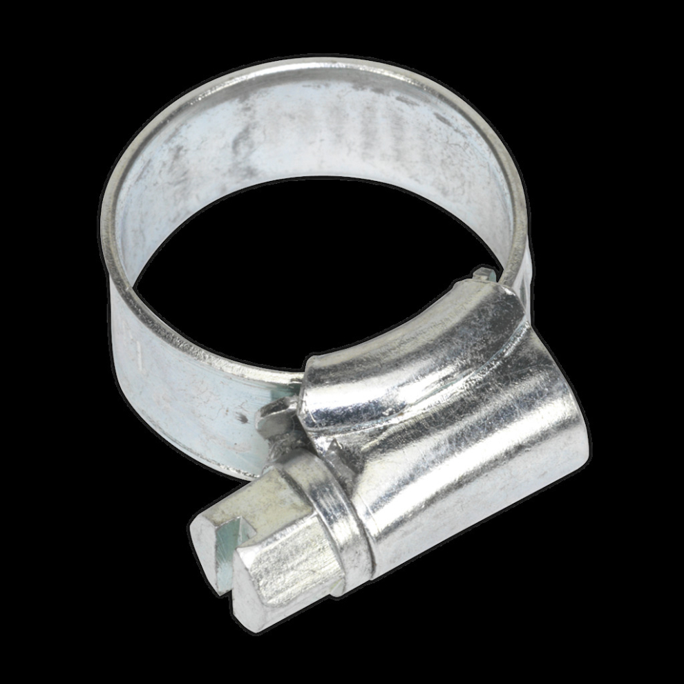 Hose Clip Zinc Plated Ø13-19mm Pack of 30