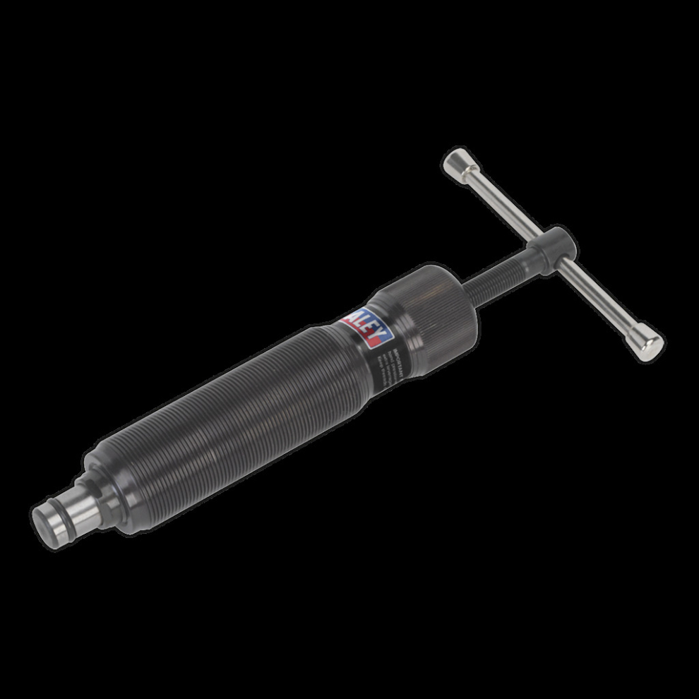 Hydraulic Ram 10 Tonne