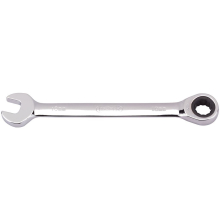 Metric Ratcheting Combination Spanner, 10mm