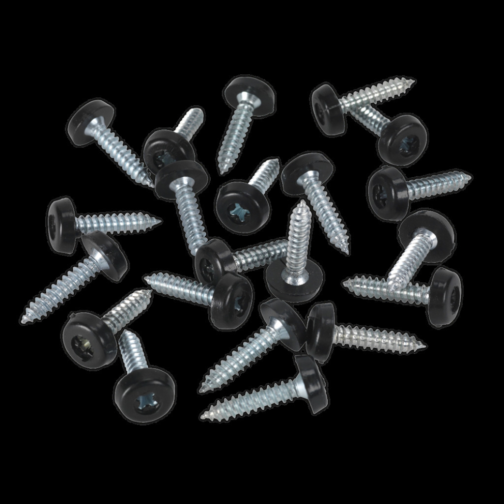 Numberplate Screw Plastic Enclosed Head 4.8 x 24mm Black Pack of 50