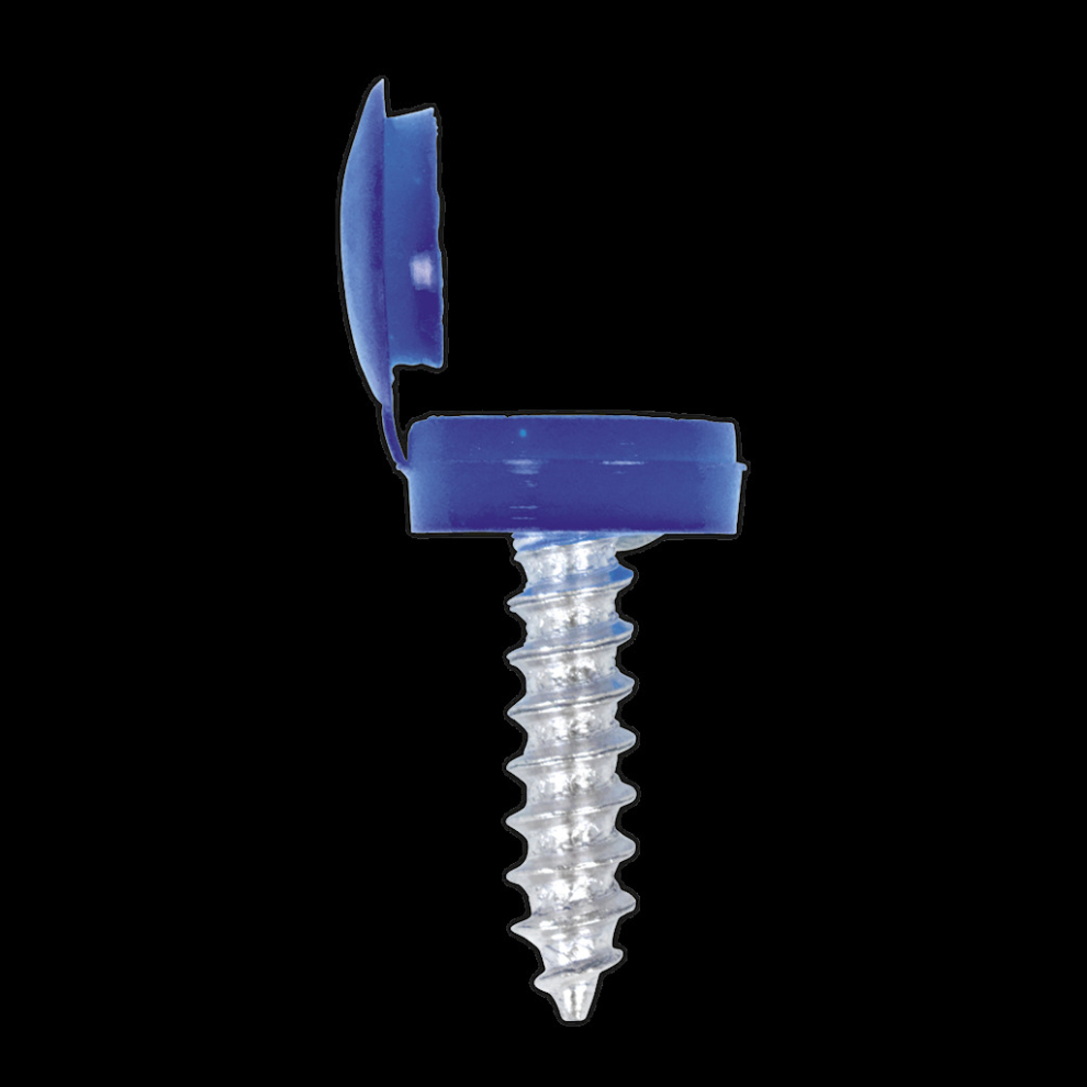 Numberplate Screw & Flip Cap 4.2 x 19mm Blue Pack of 50
