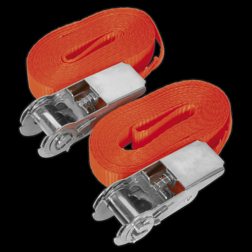 Sealey Self-Securing Ratchet Straps 25mm x 4.5m 800kg Breaking Strength - Pair
