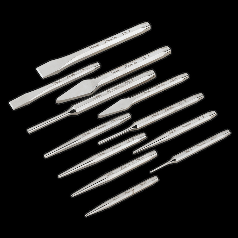Punch & Chisel Set 12pc 